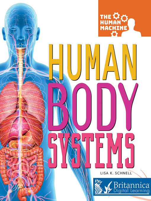 Cover image for Human Body Systems